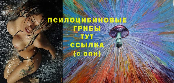 ПСИЛОЦИБИНОВЫЕ ГРИБЫ Снежинск
