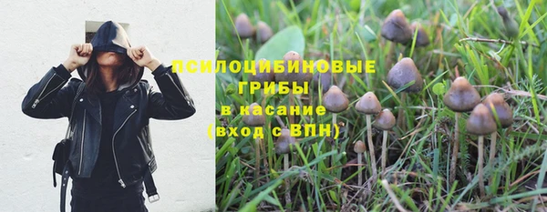 ГАЛЛЮЦИНОГЕННЫЕ ГРИБЫ Балабаново